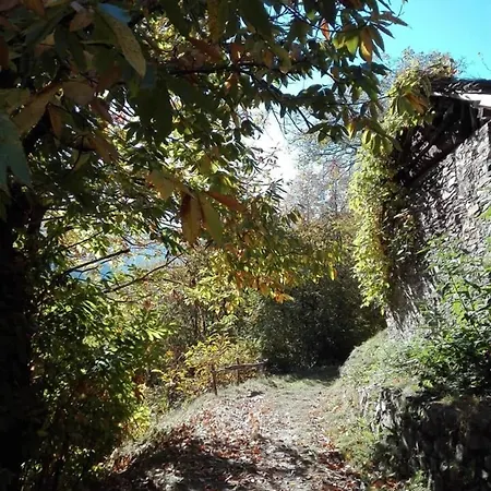 Albergo Valle del Bitto Hotel